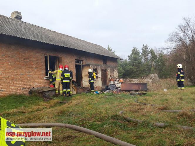 80-latka zginęła w pożarze swojego domu. Jej ciało leżało obok spalonego łóżka 