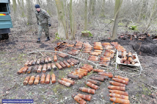 Ponad 40 skrzyń sprzed kilkudziesięciu znalezionych w lesie na Dolnym Śląsku
