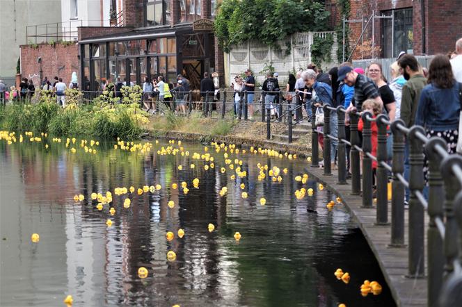 Ster na Bydgoszcz 2023. V Charytatywny Wyścig Kaczek Rotary [ZDJĘCIA]