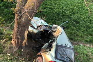 Ciechanów. ZMASAKROWANE auto! 23-latka uderzyła w drzewo i zginęła! [ZDJĘCIA]