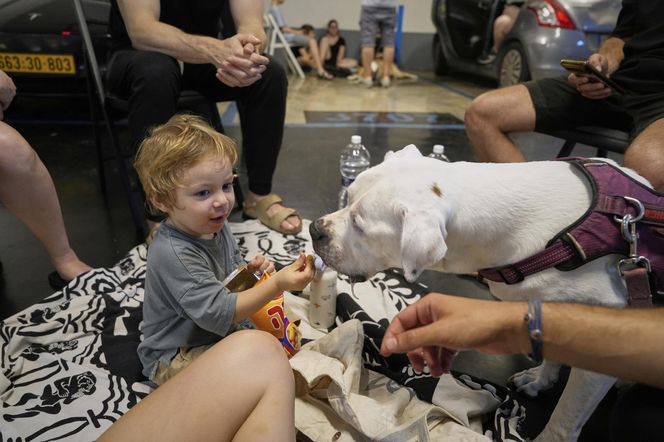 Ogromna liczba ofiar w Iranie! "90 procent to cywile"