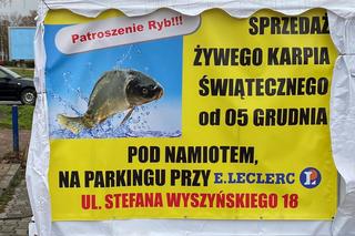 Ceny karpia w Zielonej Górze 2022