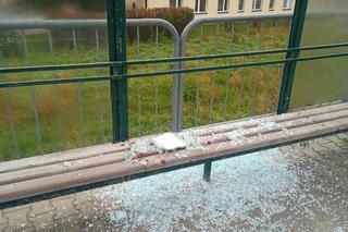 Zniszczone wiaty przystankowe w Muszynie