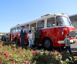 Animacje, najdłuższy autobus w kraju i inne atrakcje. Tak wyglądał Dzień bez Samochodu w Lublinie