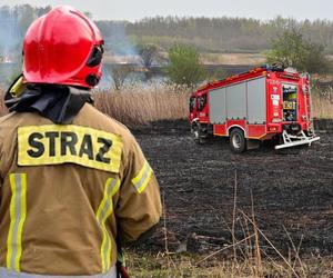 Pożar traw w krakowskiej dzielnicy Dębniki
