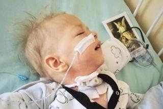 Katowice: Leoś umiera w szpitalu! Trwa rozpaczliwa walka o życie chłopca 