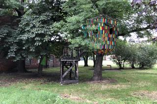 Bezdomni przegonili dzieci. W domku na drzewie urządzili melinę i noclegownię