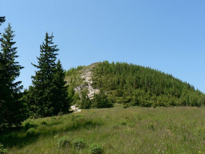 Wielki Kopieniec
