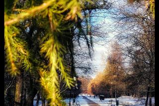 Cytadela w zimowej aurze