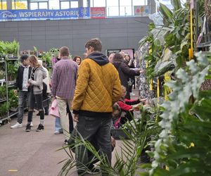 Festiwal Roślin znów zachwycił bydgoszczan! Setki gatunków i wyjątkowa atmosfera