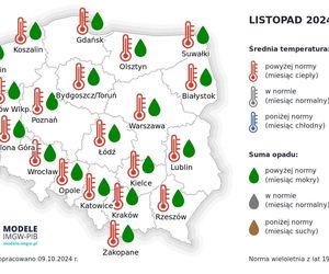 Pogoda długoterminowa IMGW na zimę 2024/2025