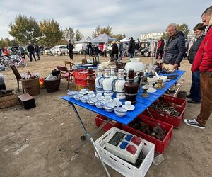 Niedzielny Targ - nowy pchli targ w Poznaniu