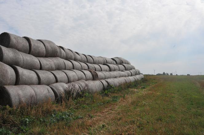 KOMORNIK LICYTUJE MAJĄTEK LEPPERA