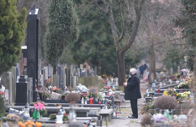 Prezes z palmą, Wałęsa bez