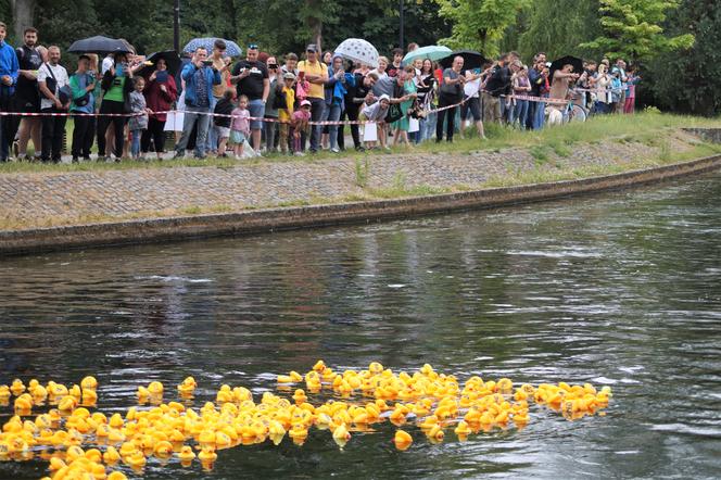 Ster na Bydgoszcz 2023. V Charytatywny Wyścig Kaczek Rotary [ZDJĘCIA]