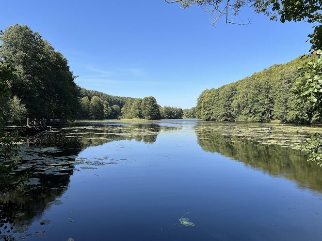 Najlepsze trasy wodne na Podlasiu na letni weekend
