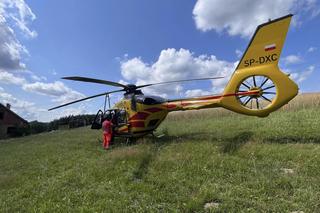 Bruśnik. Ciągnik przewrócił się w lesie. Dwie kobiety odniosły obrażenia