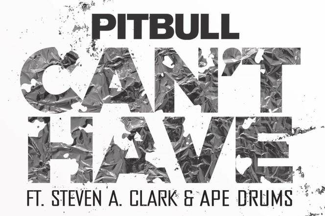Pitbull prezentuje nową piosenkę Can't Have
