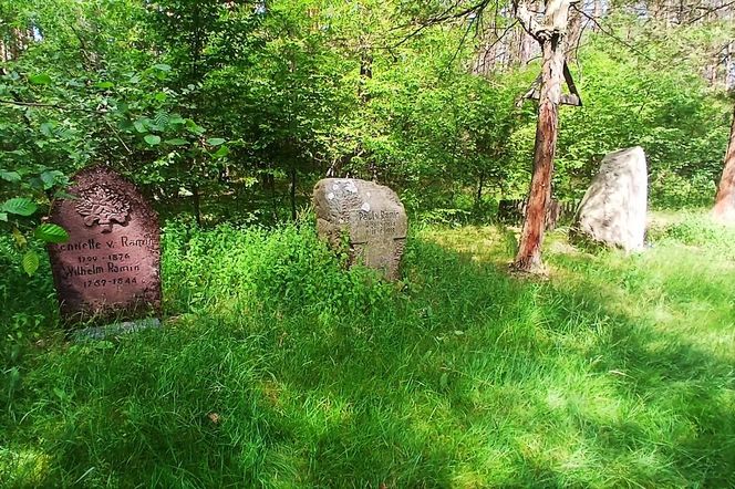 Leśny cmentarz rodu von Ramin