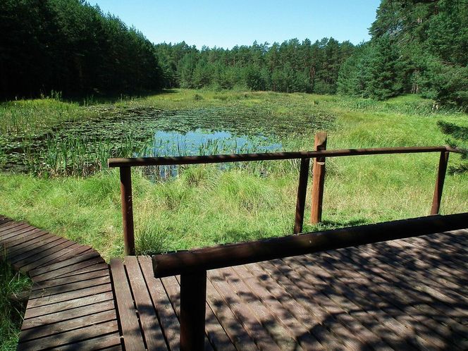 Pętla Lipnickiego