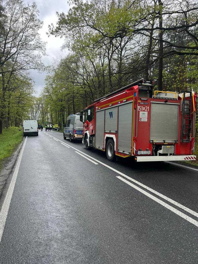 11-letnia Wiktoria i jej mamusia zginęły w zmiażdżonym aucie. "To dla nas wielka tragedia"