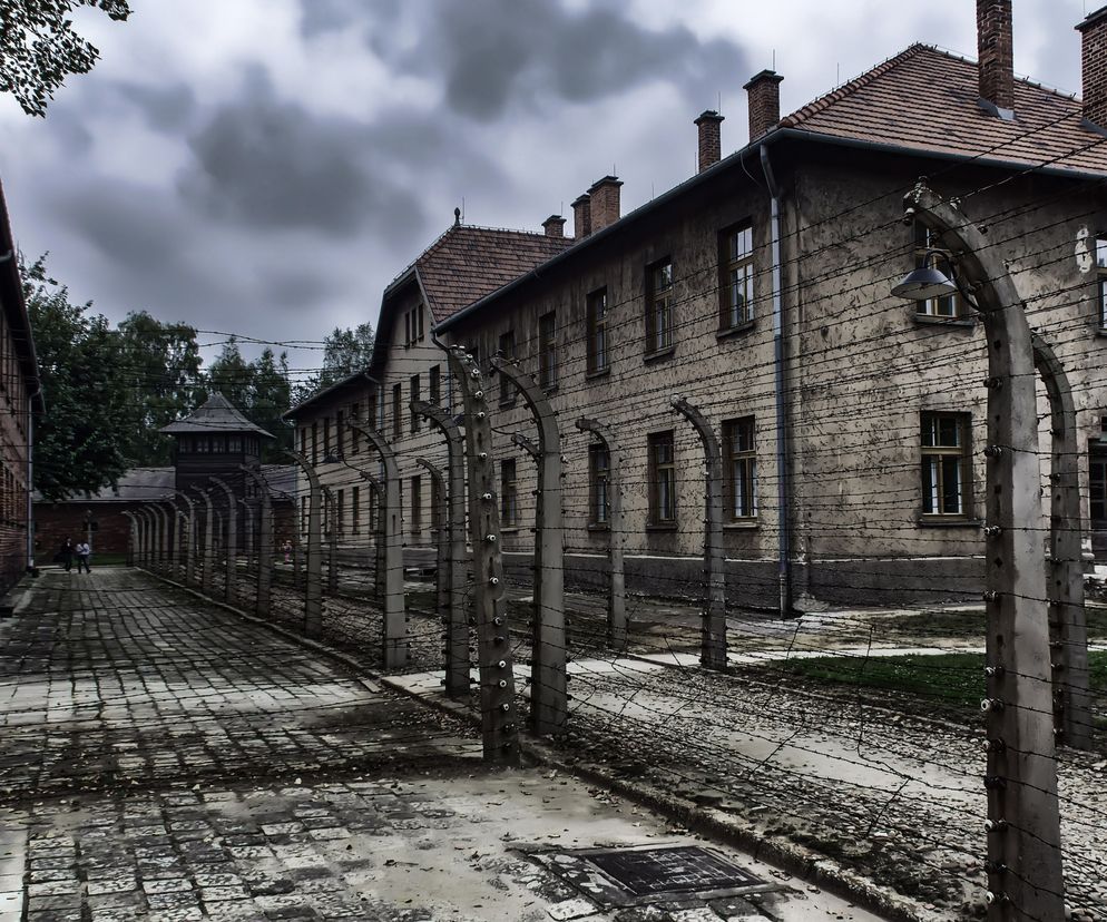 Propagowanie nazizmu na terenie Auschwitz. Obywatel Izraela zatrzymany