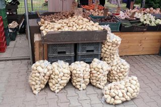 Euforia na straganie! Młode ziemniaczki z Polski robią furorę