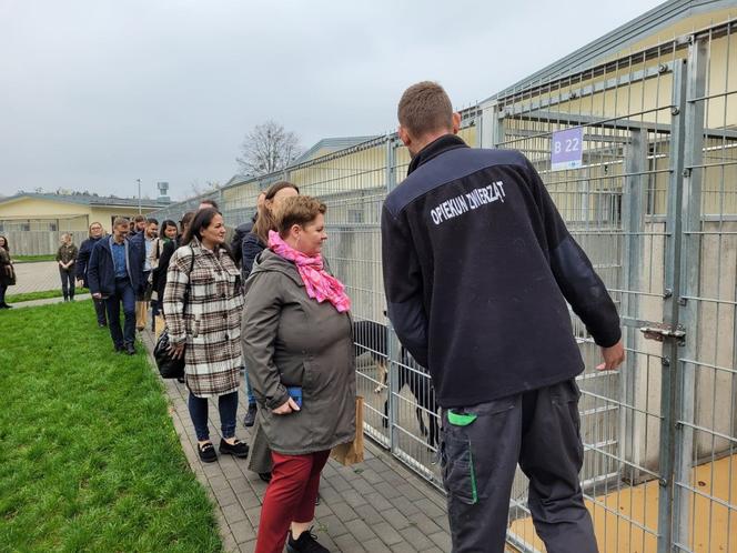 Podsumowanie działalności Centrum Opieki nad Zwierzętami w Grudziądzu