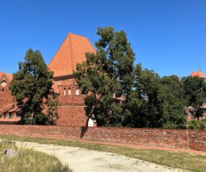 Zamek Krzyżacki w Toruniu 