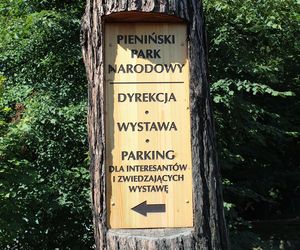 AI wybrała najlepsze miejsce na jesienny weekend w Małopolsce. Dla podróżników jest kultowe!