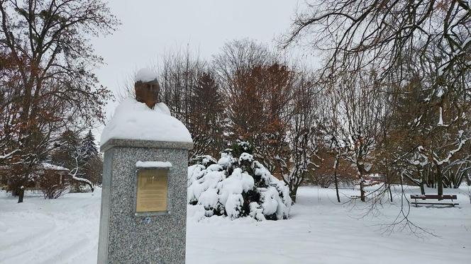 Zamojski Park pod śniegiem