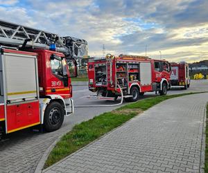 Doszło do wycieku amoniaku. Mogło dojść do tragedii