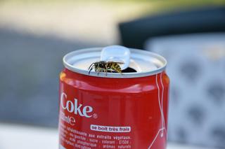 9 nietypowych zastosowań coca-coli