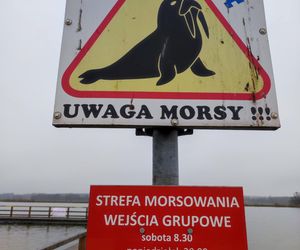 Mazowieckie Morsy otworzyły sezon morsowania 2025/2026 nad zalewem w Siedlcach