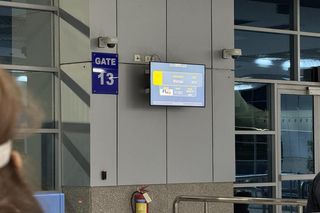 Egipska linia lotnicza