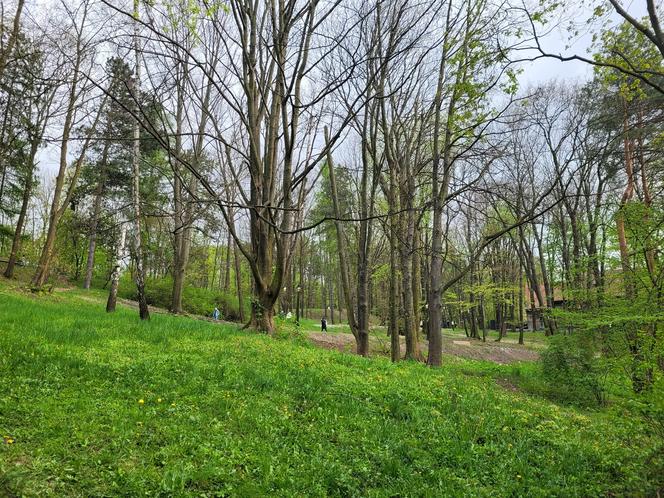 Kraków. Wyremontowany park Bednarskiego oficjalnie otwarty