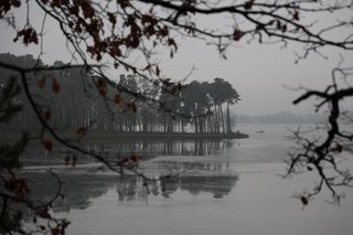 Zalew Zemborzycki pod koniec grudnia 2024