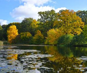 Zobacz jak wygląda największy park miejski w Polsce