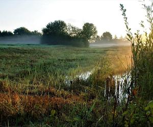 Bagno Całowanie