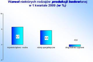 Wzrost niektórych rodzajów produkcji budowlanej w I kw. 2009 w %