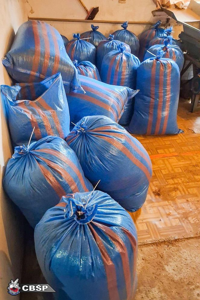 CBSP rozbiło gang producentów papierosów.