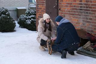 	M jak miłość odc. 1798. Basia (Karina Woźniak), Michał (Igor Pawłowski) 
