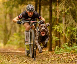 Adam Kołodziej i Teodor. Niezwykły tandem canicross [POSŁUCHAJ]