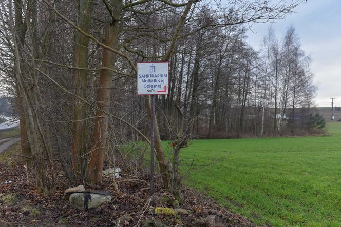 Trwa budowa wielkiego pomnika Matki Boskiej. Sprawdziliśmy postępy