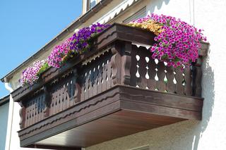 Niewymagające kwiaty na balkon. 10 kwiatów łatwych w uprawie, które kwitną całe lato