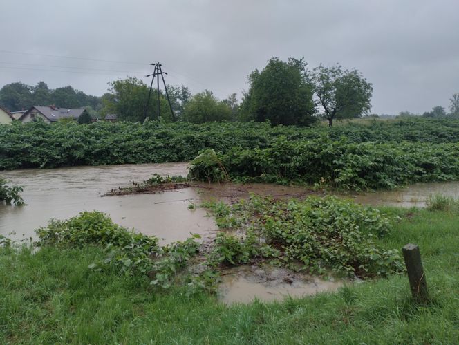 Ulewne deszcze na Śląsku. Trudna sytuacja na Żywiecczyźnie