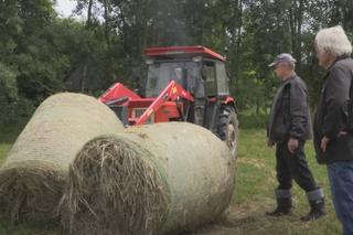 Rolnicy. Podlasie. Andrzej z Plutycz zwozi bele do stodoły. Musi się śpieszyć