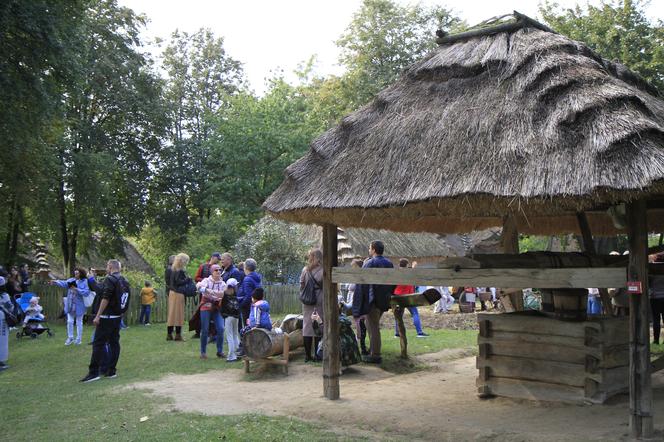 Wykopki kartoflane w lubelskim skansenie