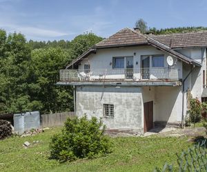  Violetta Villas podbijała świat