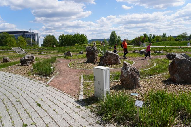 Ogród Botaniczny w Kielcach